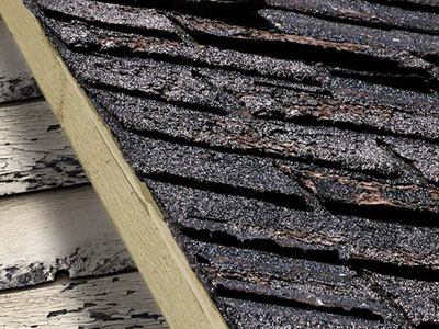 GAP Roofing Images